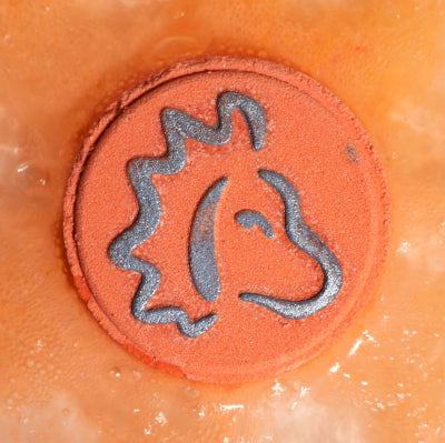 Zodiac Bath Fizzers with Horoscope