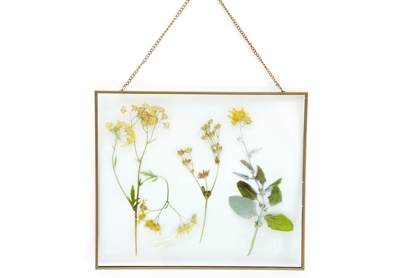 Les Fleurs Flower Wall Hanging Picture