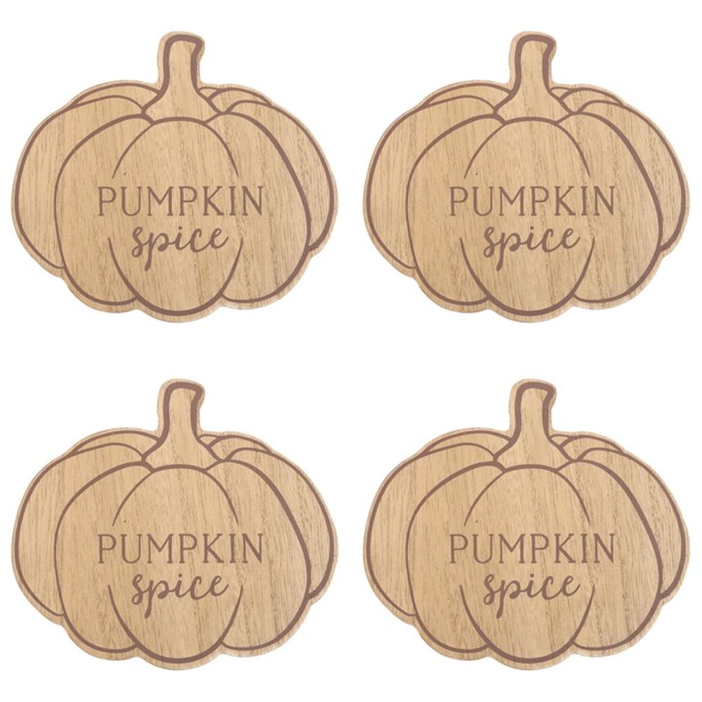 Pumpkin Spice Coaster Set